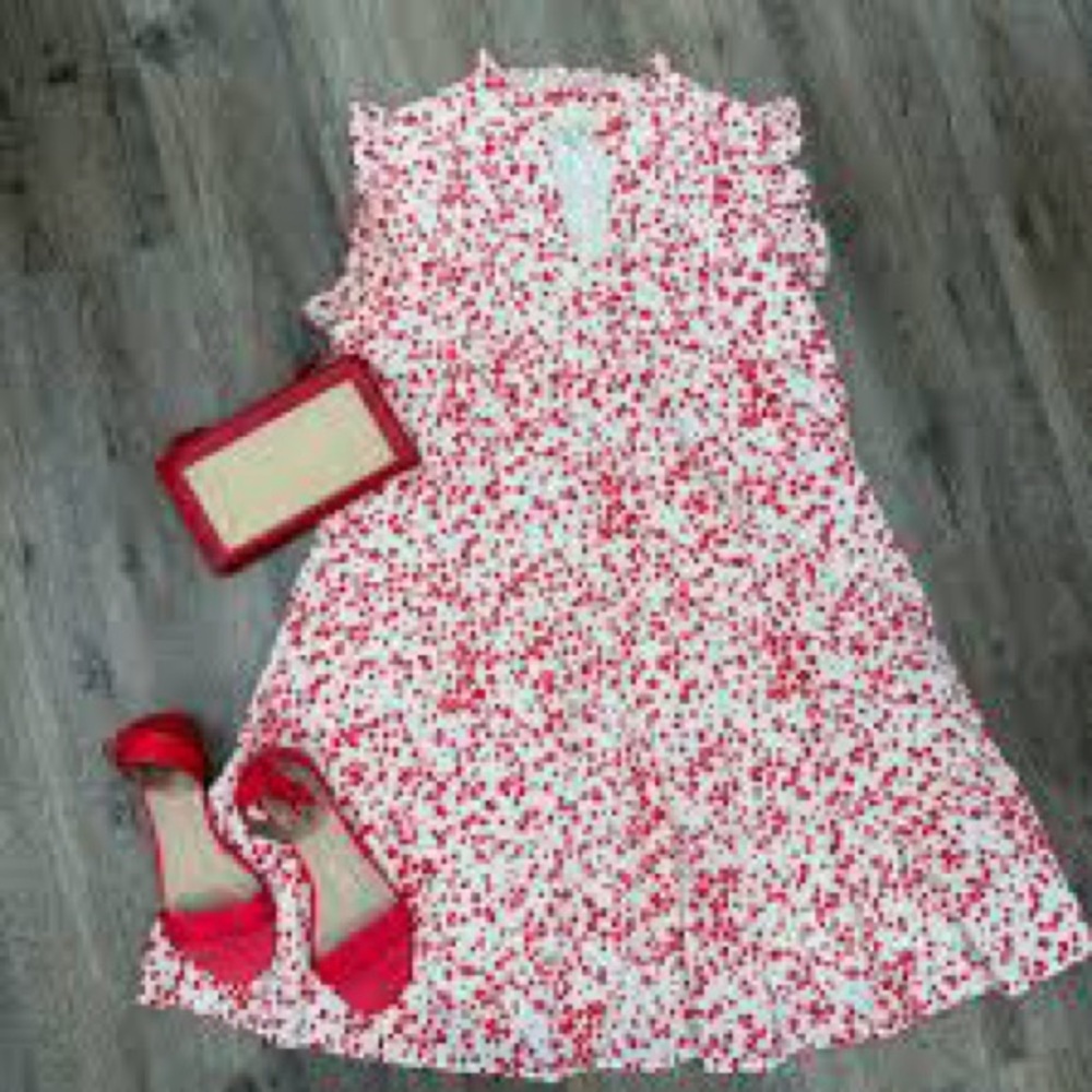 Pinch Coquette Sleeveless Drop Waist  Patterned Ruffle Dress Sz S